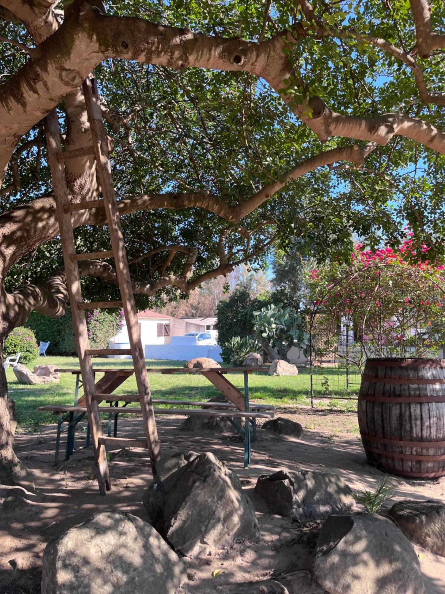 Bidd'E Majori Bed & Breakfast San Priamo ภายนอก รูปภาพ