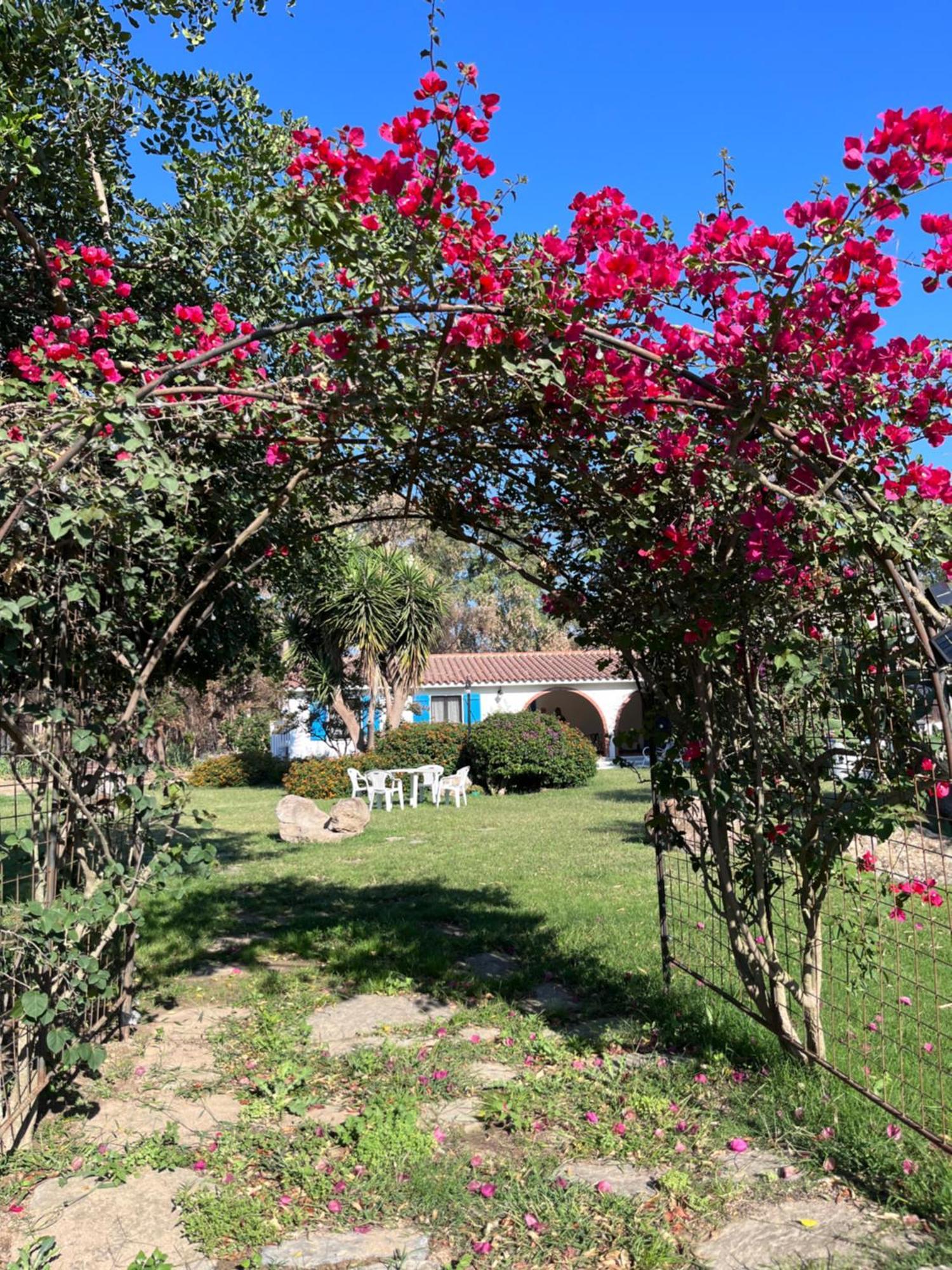 Bidd'E Majori Bed & Breakfast San Priamo ภายนอก รูปภาพ